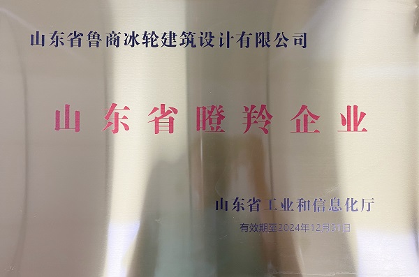˹Ϸ(й)޹˾